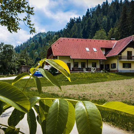 Farm Stay Loger Ljubno Buitenkant foto