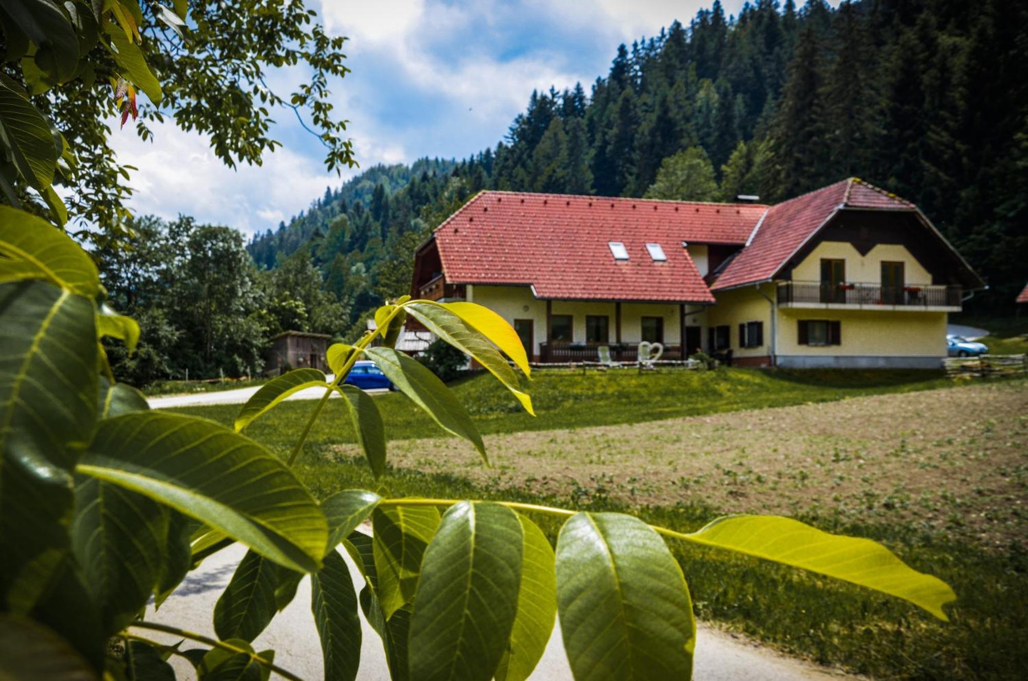 Farm Stay Loger Ljubno Buitenkant foto